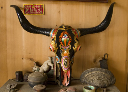 yak skull decorated Tibet Spring Brook Ranch